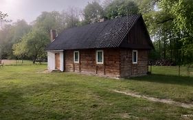 Pod dębem